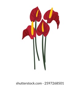 Bright Red Anthurium Flower with Lush Green Leaves in Full Bloom