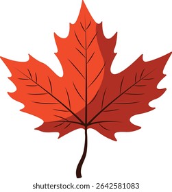 Bright red autumn maple leaf illustration with distinct veins, ideal for seasonal greeting cards, crafts, invitations, decorative projects, and Thanksgiving themes.