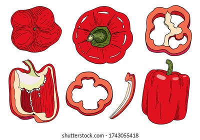 Bright Red Bell Pepper. Hand Drawn Vector Vegetables Isolated On White Background. Whole Capsicum, Halved Pepper And Slice. Tasty Ingredients, Topping, Side Dish. Vegetarian Food Realistic Drawing