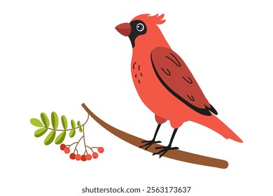 Bright red bird perched on branch with berries in a simple illustration style