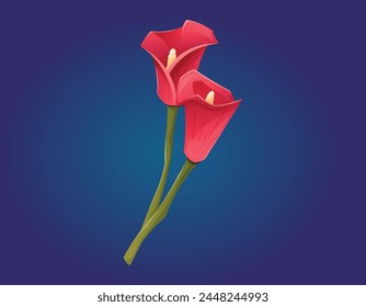 Bright red buds on the stem of a calla lily. Vector isolated floral cartoon illustration.