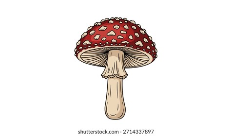 Cogumelo vermelho brilhante com manchas brancas fica alto em uma cena tranquila da floresta mostrando detalhes vívidos de um toadstool clássico e um tronco bege resistente.