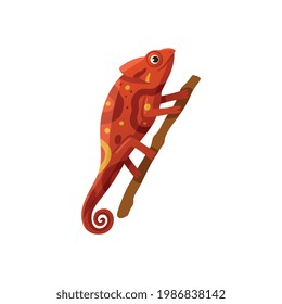 Bright red chameleon sitting on tree branch. Wildlife lizard, exotic reptile in cartoon style. Cute kids character for sticker, logo or web design. Flat vector isolated illustration