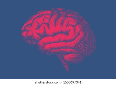 Bright red engraved vintage drawing human brain side view woodcut glyph style illustration isolated on deep blue background