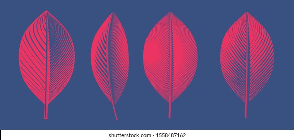 Bright red engraved vintage drawing leaves in various view glyph style illustration isolated on deep blue background