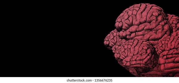 Bright red engraving drawing of many human brains in human head form illustration on black background with blank space for text copy