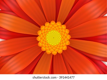 Bright red gerbera flower in bloom, a4 size horizontal illustration
