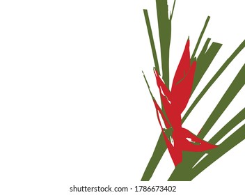 Bright red and green color of fresh tropical plant.