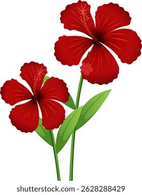 Bright red hibiscus flowers with lush green leaves in a clean vector style, highlighting natural beauty and vivid colors