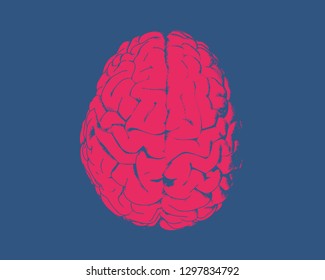 Bright red  human brain hemispheres illustration in top view isolated on dark blue background