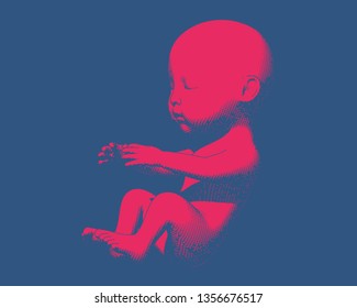 Bright red human infant baby fetus engraving illustration in side view isolated on deep blue background