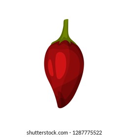 Bright red jalapeno pepper. Fresh vegetable. Organic product. Natural food. Flat vector design