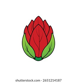 Bright red leafy radicchio head artistic flat Vector illustration