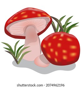 Bright Red Mushroom Vector Illustration