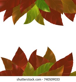 Bright red orange green autumn leaves abstract frame background. Happy Thanksgiving Day minimalistic card layout. Seasonal banner template. Vector illustration