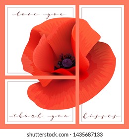 Bright red Poppy set of cards with words love you, thank you, kisses. Papaveroideae background. 3 in 1 poster, invitation card, greetings, business card. For decoration, packing, wrapping, prints