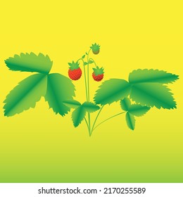 Bright red strawberries ripened in a clearing