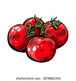 Bright red tomatoes on a vine drawn in a bold hand illustrated style. Fresh organic produce with shiny highlights and rich texture.