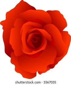 bright red vector flower