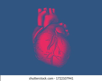 Bright red vintage engraved glyph drawing abstract organ human heart vector illustration dark woodcut style isolated on deep blue background