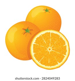 A bright and refreshing vector illustration of fresh orange fruit isolated on a solid white background. The graphic features two textured, whole ripe oranges complete with green stem calyxes alongside a beautifully detailed cross-section half that showcases juicy pulp segments radiating from the core. This clean, high-quality citrus illustration serves as a fantastic design asset for healthy beverage packaging, juice bar branding, grocery store promotions, nutrition blogs, and recipe books.#FreshOranges #CitrusFruitVector #HealthyFoodIllustration #JuicyOrangeSlice #OrganicFruitGraphic #FruitClipart #VitaminC #SummerVibes #GraphicDesignAsset #FreshJuice