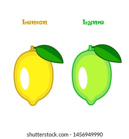 Bright ripe lemon and lime