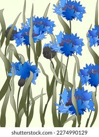 Bright romantic wallpaper of wild herbs and blue cornflowers in vintage, retro style for design