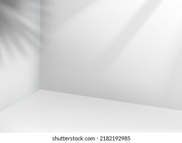 Bright room with tropic palm shadows and light of the window. 3d vector illustration 