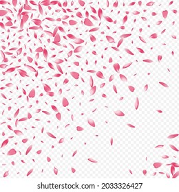 Bright Rosa Vector Transparent Background. Apple Feminine Illustration. Rose Japan Poster. Blooming Nature Congratulation. Purple Sakura Blow Texture.
