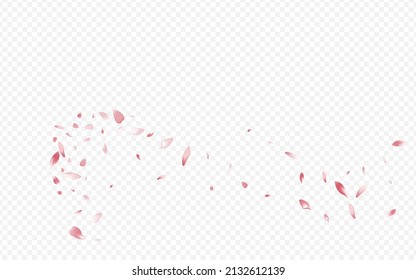 Bright Rosa Vector Transparent Background. Flower Tender Cover. Heart Spring Banner. Floral Valentine Card. Pink Lotus SummerDrop Texture.