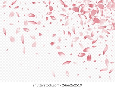 Bright Rose Vector Transparent Background. Confetti Soft Backdrop. Floral March Congratulation. Petal Spa Texture. White Lotus Marriage Card.