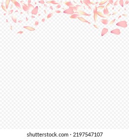Bright Sakura Vector Transparent Background. Rose Marriage Illustration. Floral Fly Pattern. Apple Mother Texture. Red Blossom Invitation Design.