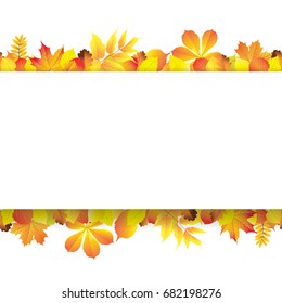 Bright seamless autumn background with vivid autumn leaves and space for text. Vector illustration.
