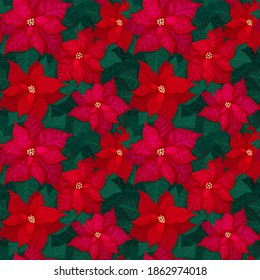 Brillante patrón de Navidad sin fisuras con poinsettia roja y hojas verdes. Fondo festivo para papel de envoltura de papel de impresión textil y baldosas florales. Ilustración del vector