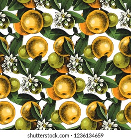 Bright seamless pattern with hand drawn mandarin branches. Vector illustration