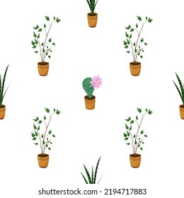 Bright seamless pattern with houseplants in flower pots in beige. Infinite texture white background for wallpaper decor.Hand drawn vector illustration object. Pattern, succulent, cactus, flower.