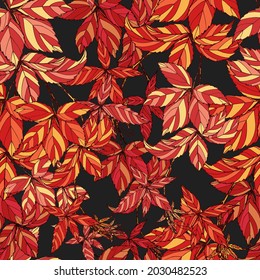 Bright seamless pattern of leaves of girlish grapes in autumn on a dark background.