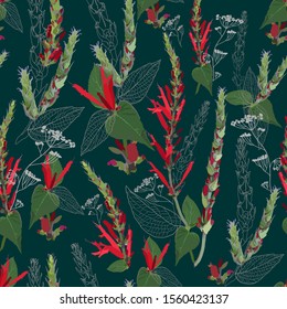 Bright seamless pattern with red sage flowers, buds, leaves and wildflowers. Elements of plants and their contours are arranged randomly. Vector image on a dark green background.