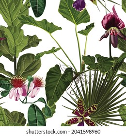 Bright seamless pattern with tropical pink violet flowers and leaves. Realistic style, hand drawn. Background for prints, fabric, invitation cards, wedding decoration, wallpapers. White background.