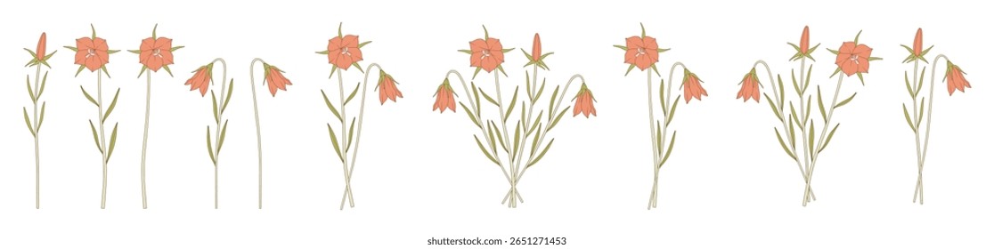 Bright set de buquês de sino. Cochos de flores silvestres florescentes, plantas selvagens perenes. Elementos botânicos desenhados à mão para projetos de design. Ilustração vetorial