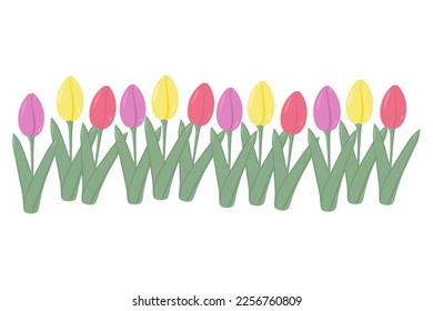 Conjunto brillante de tulipanes multicolores alineados en una línea desigual. 8 de marzo. Primavera. Feliz Día de la Mujer