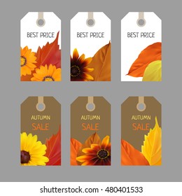 Bright set of stickers for seasonal sale with yellow, orange, red autumn leaves and autumn colors, template, vector illustration
