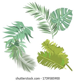 Set Tropical Leaves Isolated On White Stock Vector (Royalty Free) 301462877
