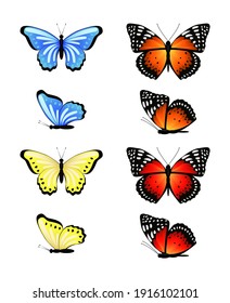 Conjunto brillante de mariposas vectoriales