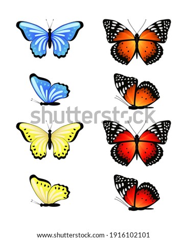 Bright set of vector butterflies