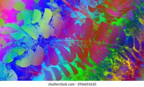 Bright and shining multicolor plant leaf background