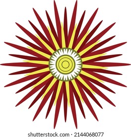 A bright shining star. Vector file.