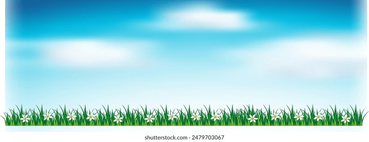 Bright sky with grass and flowers