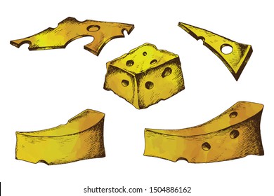 Bright sliced ​​pieces of cheese sketch. Clip art on white background