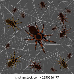 Bright spiders on the web.Vector pattern with spiders in the web on a colored background.